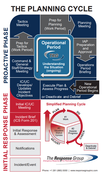 Planning "P" Wall Chart (laminated)