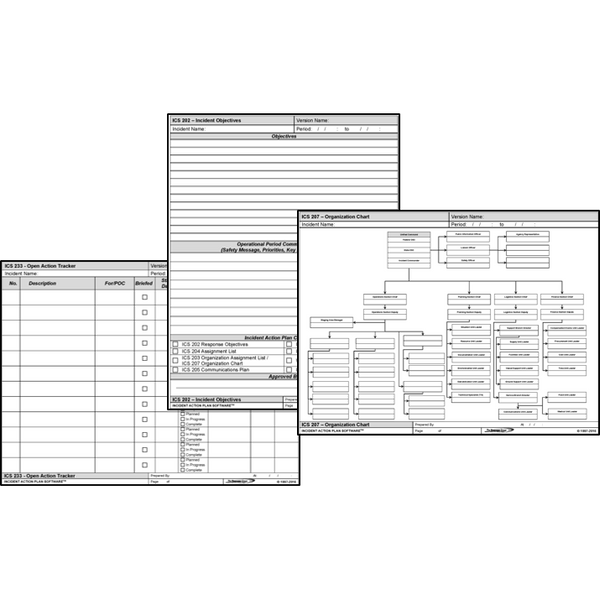 ICS Form Wall Charts - Individual Forms